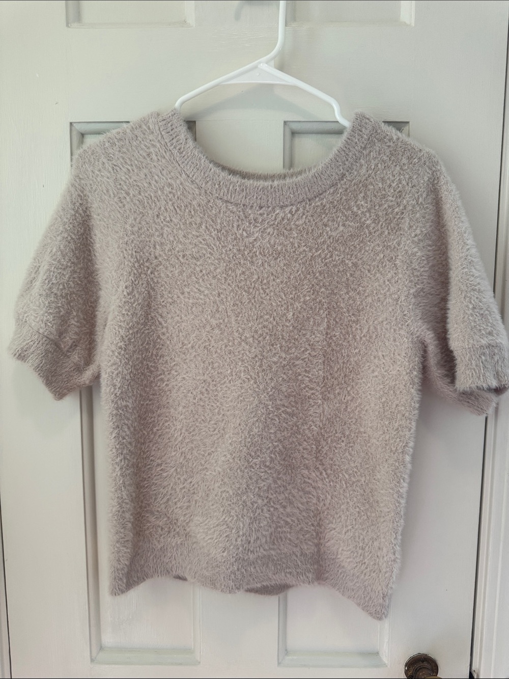 Bailey 44 Soft Short-Sleeve Fuzzy Crewneck Sweater in Light Taupe